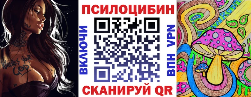 Купить закладки  Гатчина  Галлюциногенные грибы прущие грибы 