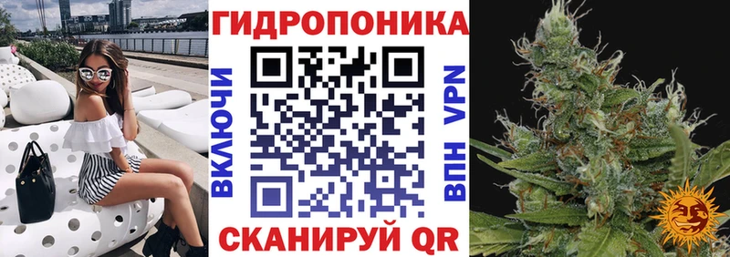 Шишки марихуана SATIVA & INDICA  Купить  Гатчина 